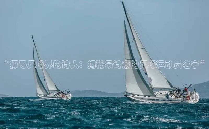 6688体育集团官网下载雷柏科技“探寻足球界的诗人：揭秘最诗意的足球运动员名字”