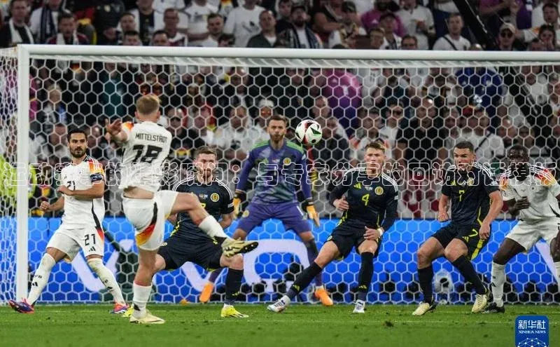 6688体育官网入江铃新能源运动赛事的精彩瞬间：与专家分享的回访对话模板