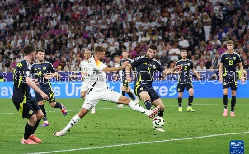 6688体育app最新版爱慕股份：撰写高质量运动赛事手册的技巧与策略