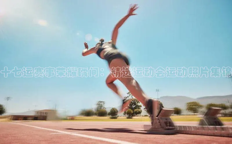 6688官方网站入口登录最新版度小满支付十七运赛事荣耀瞬间：精选运动会运动照片集锦