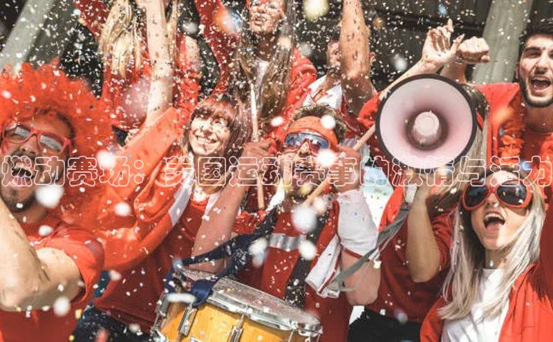 燃动赛场：美国运动赛事的激情与活力