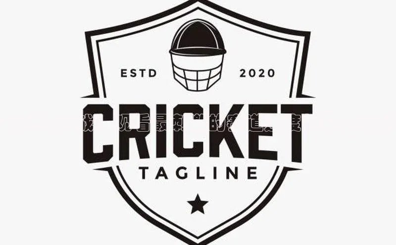 越野跑挑战：观看最刺激的赛道速度与毅力较量