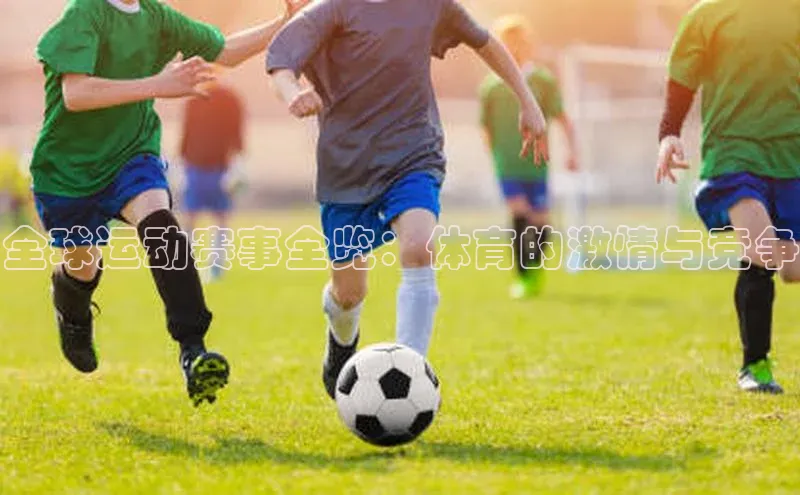 全球运动赛事全览：体育的激情与竞争