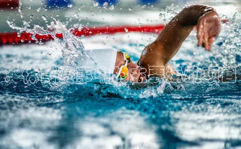 ：体育赛事中的主要运动项目