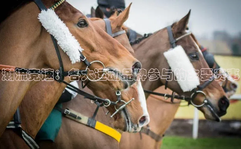 潮流竞速：各大运动品牌参与的主要赛事