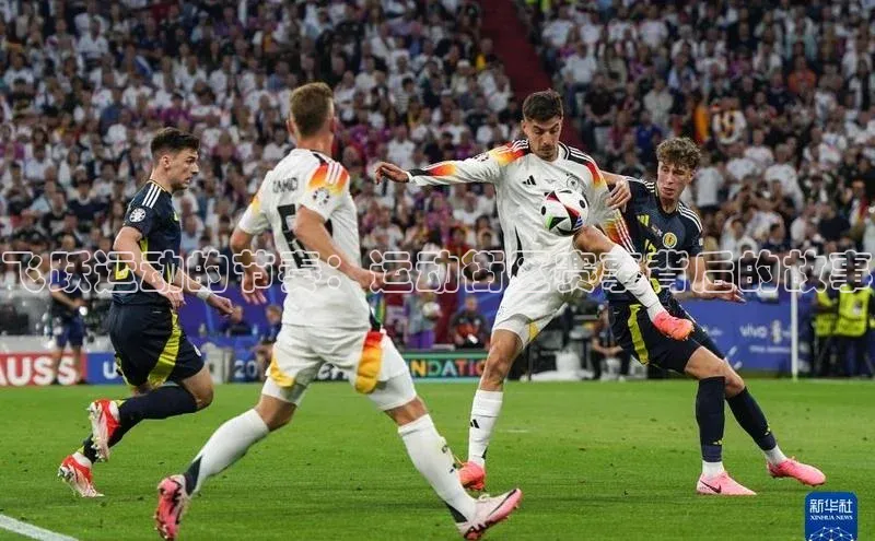 6688体育app官方网站