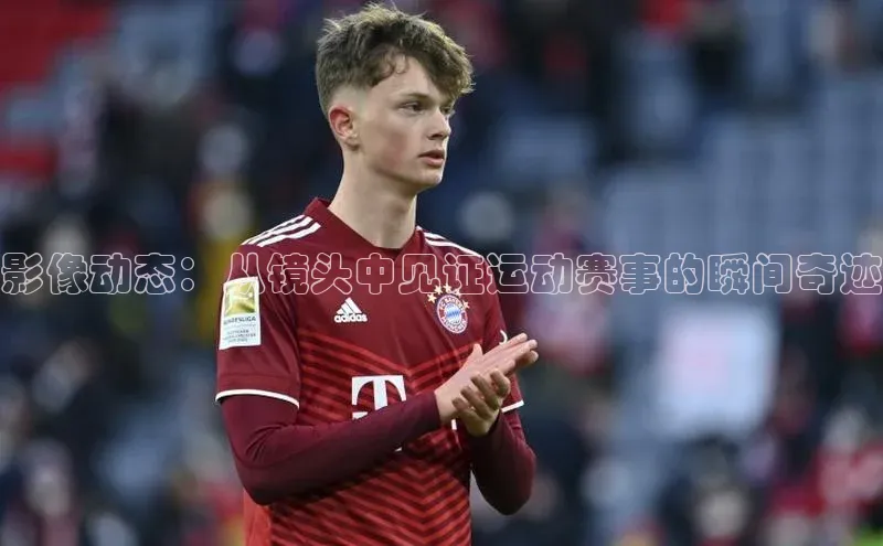 6688体育手机版登录