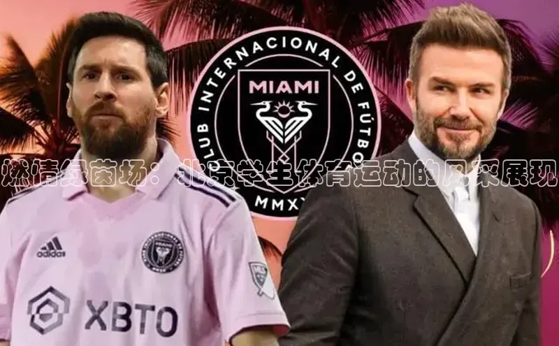 6688体育手机版登录