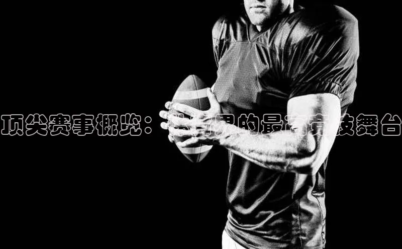 6688体育官网入口网址