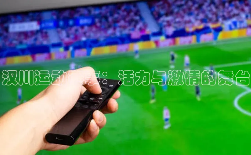 汉川运动赛事：活力与激情的舞台
